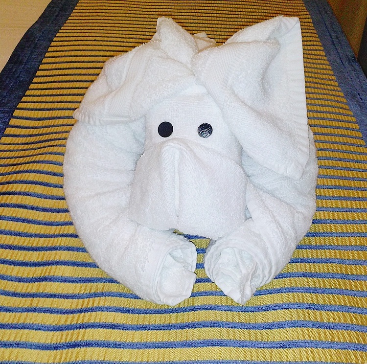 Towel Animal