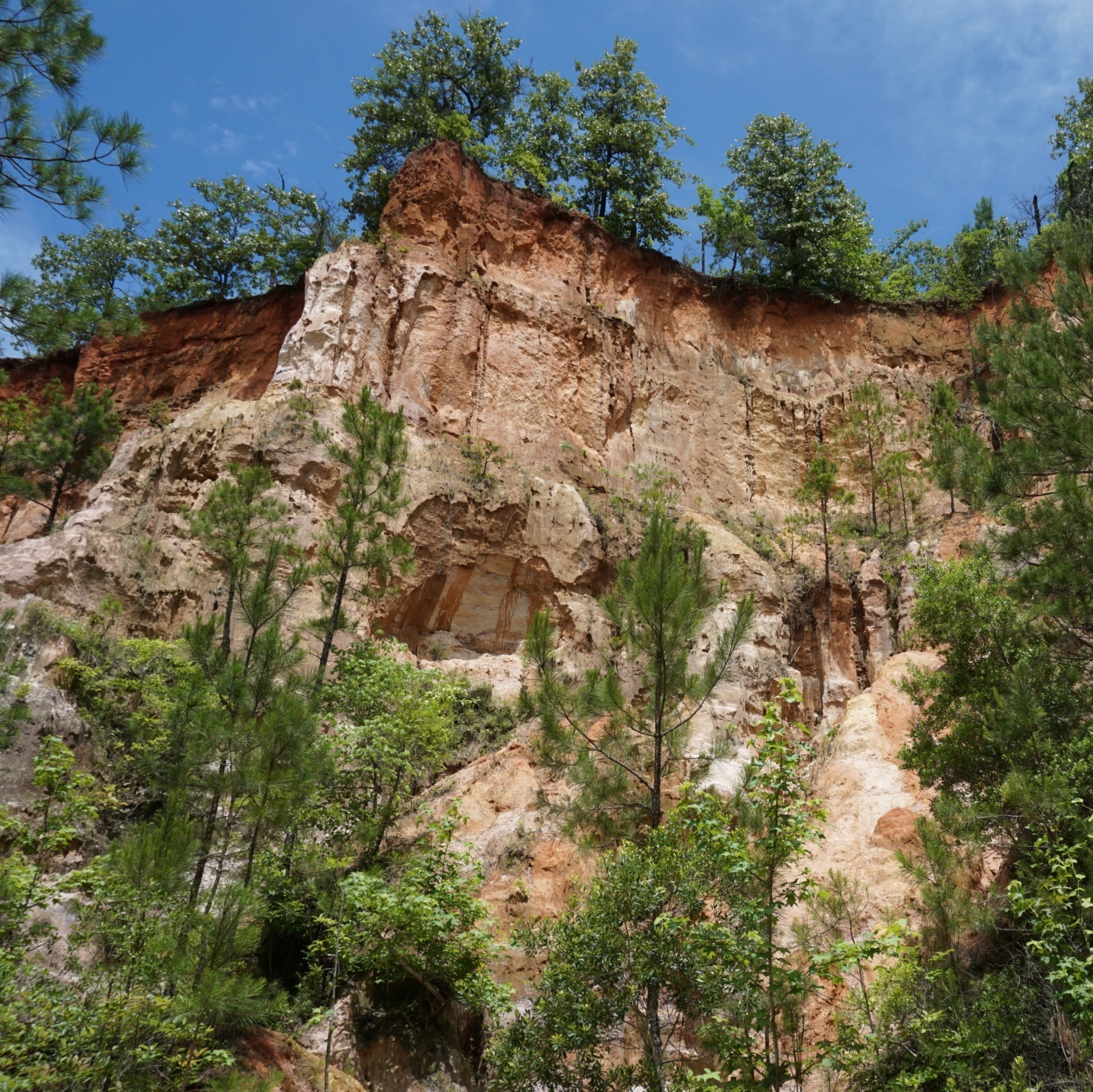 Providence Canyon Georgia