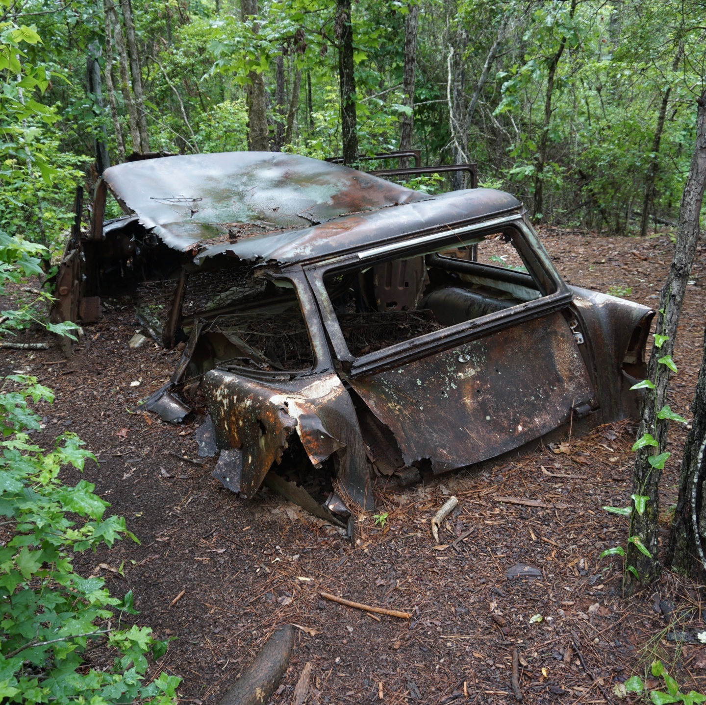 Abandoned Automobiles