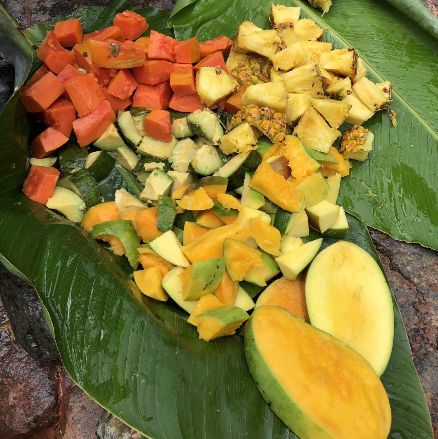 Fruit Platter El Yunque National Forest