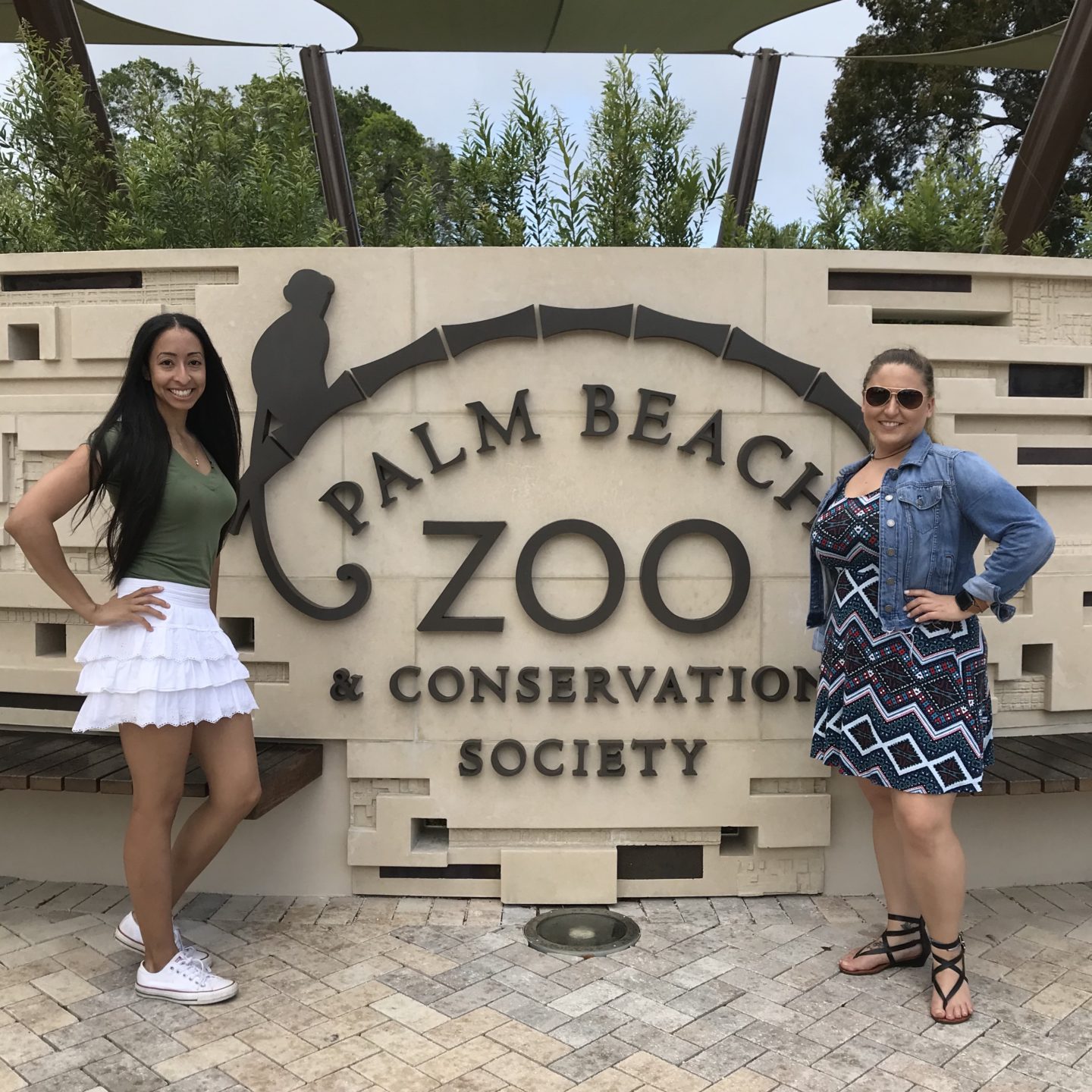 Go Wild At The Palm Beach Zoo