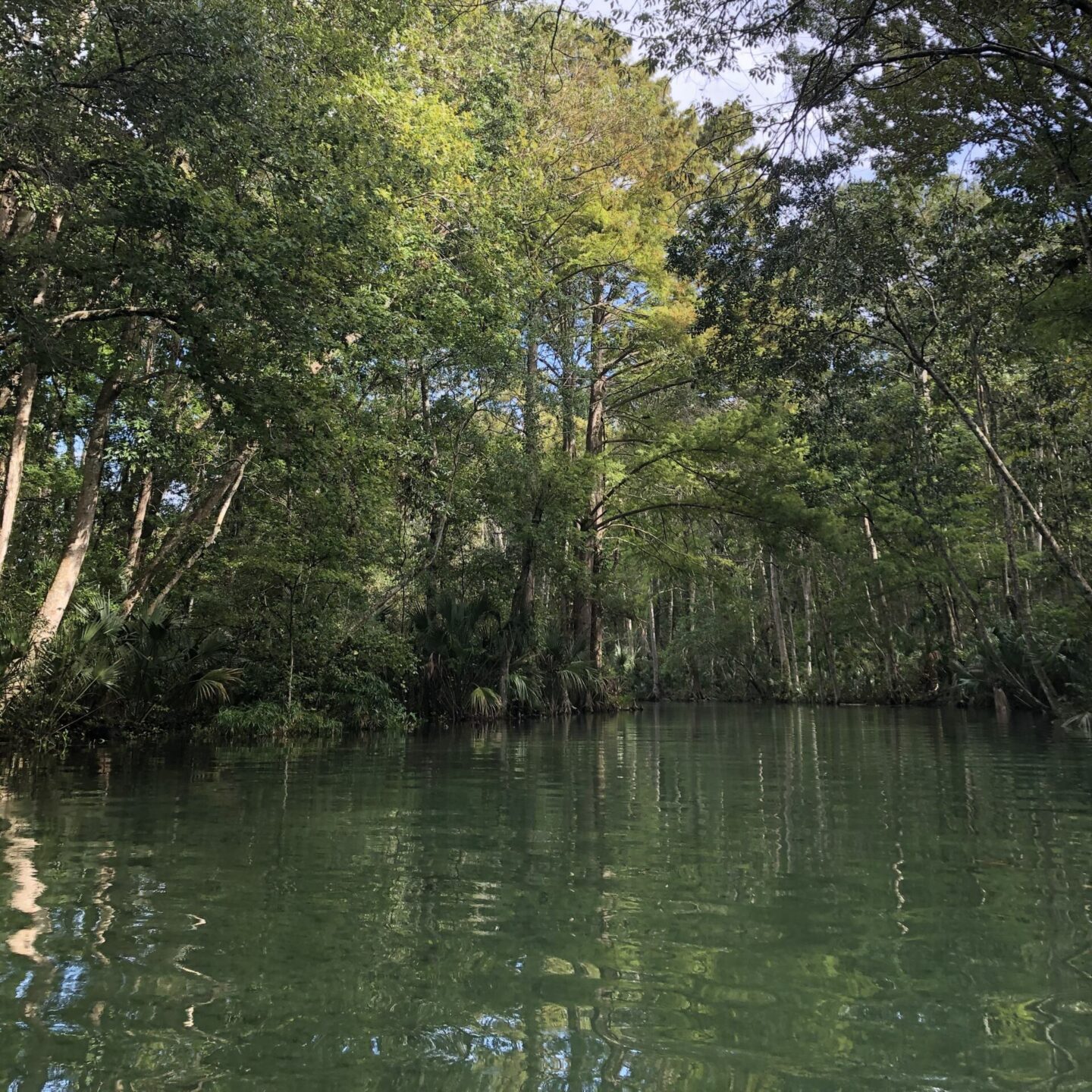 Weeki Wachee Springs