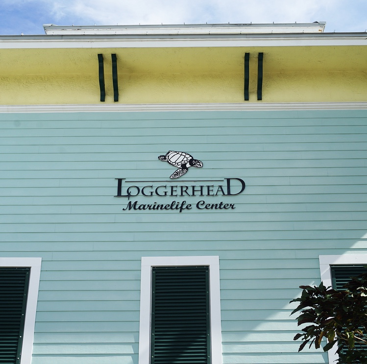 Loggerhead Marinelife Center